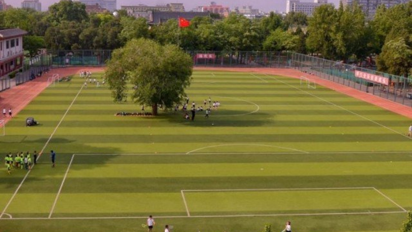 Ένα δέντρο στο κέντρο...  ποδοσφαιρικού γηπέδου! (ΦΩΤΟ)