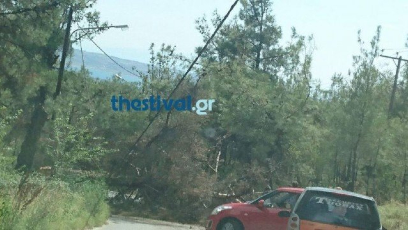 Θεσσαλονίκη: Πτώση δέντρου «έκοψε» τον δρόμο προς Φιλίππειο