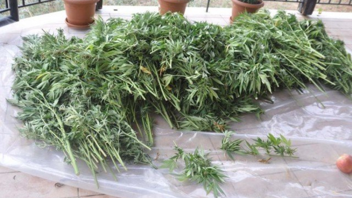 Εντοπίστηκε εργαστήριο υδροπονικής κάνναβης στους Ταγαράδες