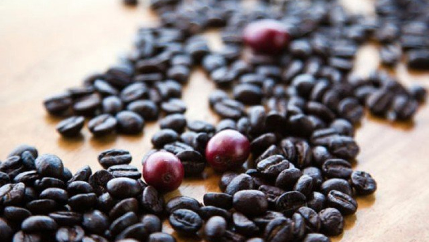 Τόσο κοστίζουν     οι πιο ακριβοί καφέδες του κόσμου