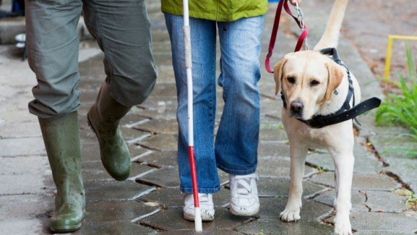 Θεσσαλονίκη - ΟΑΣΘ: Επιτρέπεται πλέον η επιβίβαση σκύλων – συνοδών