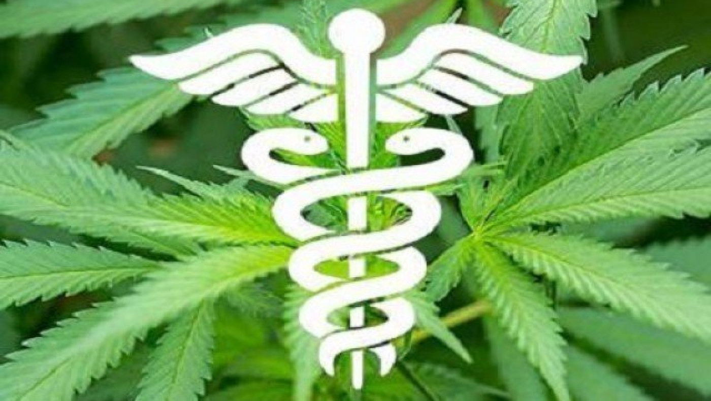 Το σποτ της κυβέρνησης για τη φαρμακευτική κάνναβη (BINTEO)