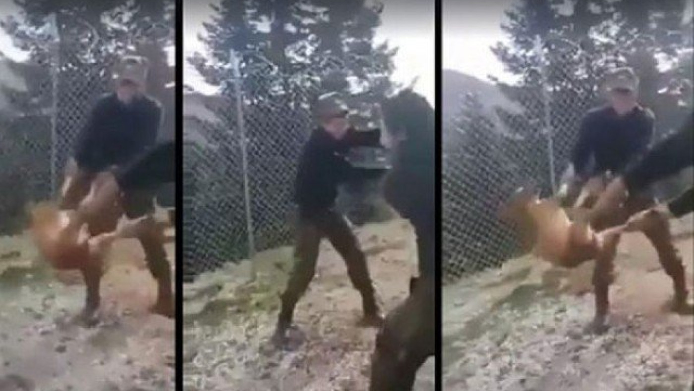 «Συγγνώμη» ζητούν τώρα οι οπλίτες που κακοποίησαν τον σκύλο