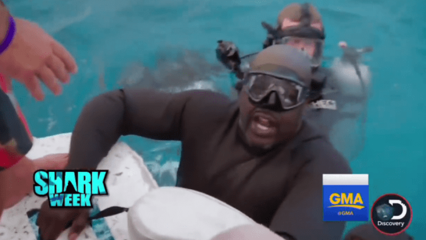 Σώθηκε ο Σακίλ Ο Νιλ από επίθεση            καρχαρία