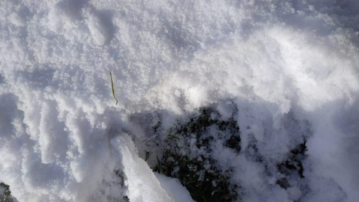 ΟΡΙΣΤΙΚΟ: Χιονιάς-Ποδόσφαιρο:        σημειώσατε        1 (vid)