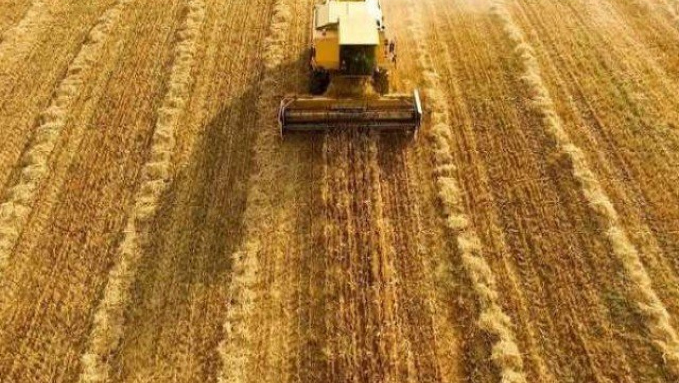 Αξιολόγηση των προβλημάτων στην Αγροδιατροφή της Π. Κ. Μ.