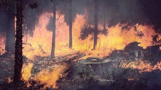 Πυρκαγιές μαίνονται στο Ποικίλο Όρος και στη Μαλεσίνα