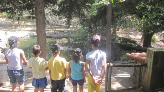 Θεσσαλονίκη: Απειλή για λουκέτο στον ξενώνα  της ΑΡΣΙΣ στο Ωραιόκαστρο