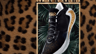 Το νέο παπούτσι της ΝΙΚΕ με πρωταγωνιστή τον Αντετοκούνμπο      (pics)