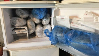 Θεσσαλονίκη: 57χρονος είχε 50 χασισόδεντρα στο σπίτι του!