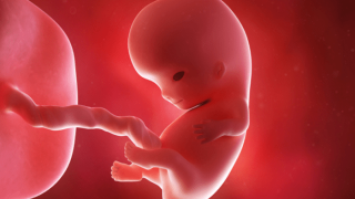 Θεσ/νίκη: Εξάρθρωση κυκλώματος παράνομων υιοθεσιών & εμπορίου ωαρίων