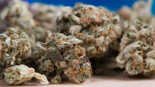 Έρευνα: Οι Ευρωπαίοι πλήρωσαν 11,6 δισ. ευρώ για αγορά χασίς