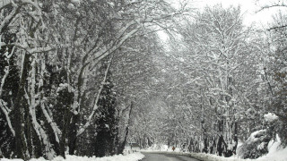 Σέρρες: Σφοδρή χιονόπτωση «εγκλώβισε» οδηγούς στον Λαϊλιά-Στο σημείο εκχιονιστικά και Πυροσβεστική