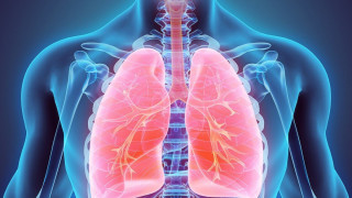 Με ποιες τροφές καθαρίζουν οι πνεύμονες