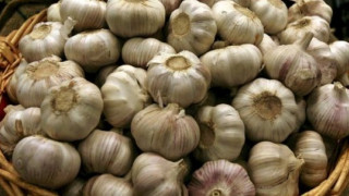 Ξεπούλησαν τα σκόρδα της Νέας Βύσσας λόγω του κορωνοϊού