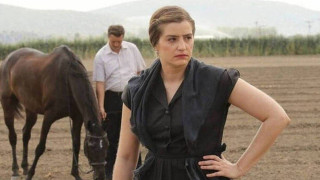 Άγριες Μέλισσες: Κίνδυνος για την Ελένη, εξαφάνιση στο Διαφάνι