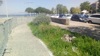 Κυριακάτικη βόλτα με φόντο τη θάλασσα