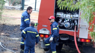 Φωτιά σε δασική έκταση στη Χαλκιδική