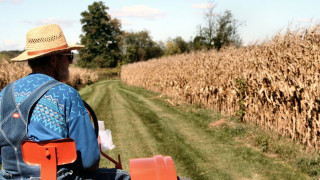ΟΑΕΔ: Και επίδομα ανεργίας και εργασία στον αγροτικό τομέα