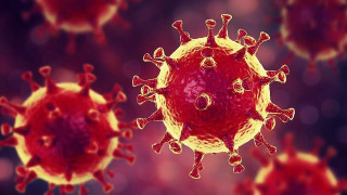 Κορωνοϊός: 20 νέα κρούσματα στη χώρα - Κανένας θάνατος