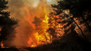 Μεγάλη φωτιά σε εξέλιξη στο Άγιον Όρος