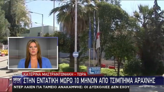 Σοκ: Στην εντατική μωρό 10 μηνών από τσίμπημα αράχνης