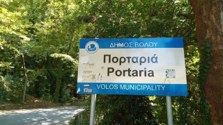 Πορταριά: Το γήπεδο όπου θα προετοιμαστεί ο ΠΑΟΚ