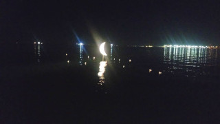 Πάπιες στο μισοφέγγαρο του Θερμαϊκού!