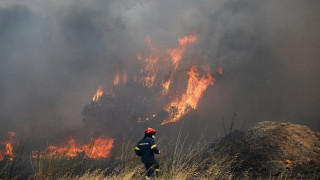 Υψηλός κίνδυνος εκδήλωσης πυρκαγιάς σήμερα στη Χαλκιδική