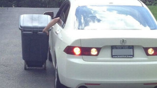 Η τεμπελιά σε άλλο επίπεδο (pics)