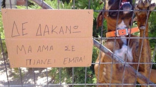 20 φωτογραφίες απόλυτης κουζουλάδας από την λεβεντογένα Κρήτη (pics)