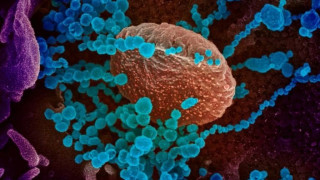 Νέο αρνητικό ρεκόρ κρουσμάτων στη Θεσσαλονίκη με 1440, τι γίνεται στη Βόρεια Ελλάδα