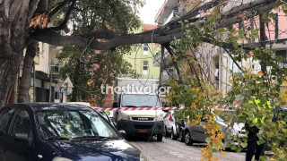 Πτώσεις δέντρων στην περιοχή του «Ιπποκρατείου» από τους ισχυρούς ανέμους