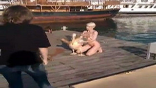 Ρωσίδα στρίπερ φωτογραφήθηκε γυμνή με τον Κόκο, τον πελεκάνο της Πάφου