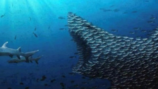 Η εκδίκηση είναι ένα πιάτο που τρώγεται κρύο