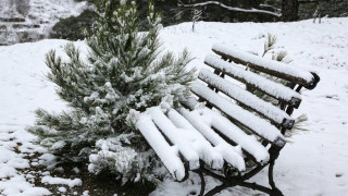 Ντύθηκε στα λευκά η Θεσσαλονίκη -Το έστρωσε σε όλη την πόλη