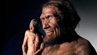 Έρευνα: Γονίδιο... κληρονομιά από τους Νεάντερταλ, προστατεύει από τον κορωνοϊό!