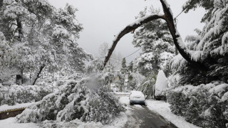 Καιρός: Έρχονται χιόνια και στα... χαμηλά το Σαββατοκύριακο - Στην... κατάψυξη η χώρα
