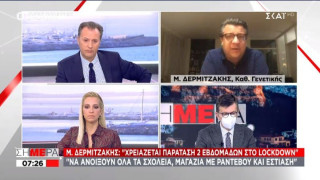 Δερμιτζάκης: Παράταση lockdown για 2 εβδομάδες