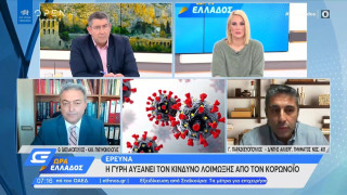 Έρευνα: Η γύρη αυξάνει τον κίνδυνο λοίμωξης από τον κορωνοϊό