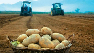 Νευροκόπι Δράμας: Υπογράφηκαν οι κορωνοενισχύσεις για την πατάτα