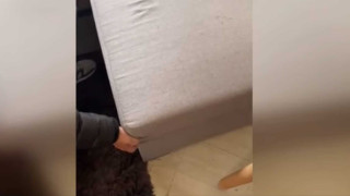 Θεσσαλονίκη: Σηκώνουν τον καναπέ και δεν πιστεύουν στα μάτια τους (video)