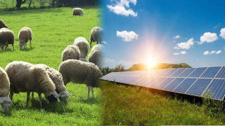 Κτηνοτρόφοι Κοζάνης: «Γεμίσαμε τζαμαρίες» λένε για τα φωτοβολταϊκά πάρκα