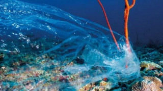 Κεντρική Μακεδονία: 400 πλαστικά βαρέλια και 15 τόνοι πλαστικά δίχτυα στον βυθό