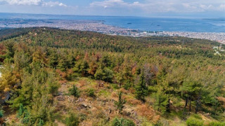 Θεσσαλονίκη: Ωρολογιακή βόμβα το δάσος του Σέιχ Σου