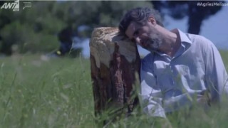 Άγριες Μέλισσες-τηλεθέαση: Το φινάλε του 2ου κύκλου διέλυσε τα κοντέρ