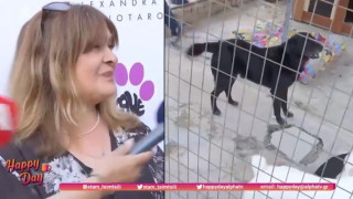 Σοκάρει η Τζόυς Ευείδη: «Δεν είχα να φάω»