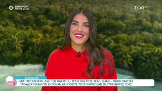 Survivor: Ποιοι παίκτες παραδέχτηκαν ότι έκλεψαν και ποιους τους κάρφωσαν οι συμπαίκτες τους