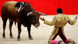 Τραυματισμός ΣΟΚ ταυρομάχου! (video)