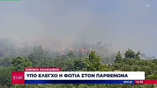 Τρία μέτωπα φωτιάς σε Ωρωπό, Κεφαλλονιά και Σιθωνία Χαλκιδικής